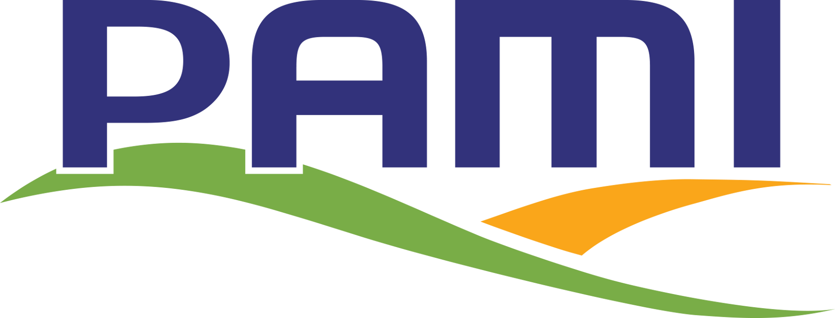 PAMI Logo